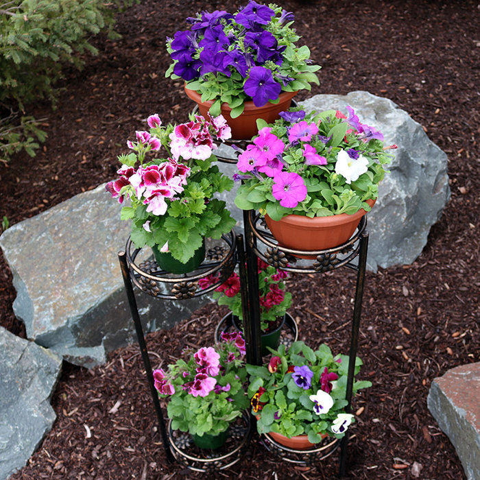 Winston Porter Highlandville Metal Weather Resistant Plant Stand